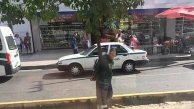 Hombre amarrado a un árbol en el Crucero de Cancún
